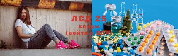 круглые Алзамай
