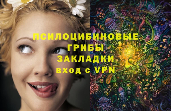 твердый Алексеевка