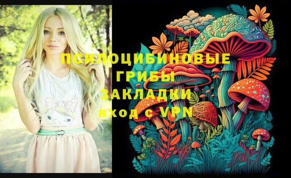 круглые Алзамай