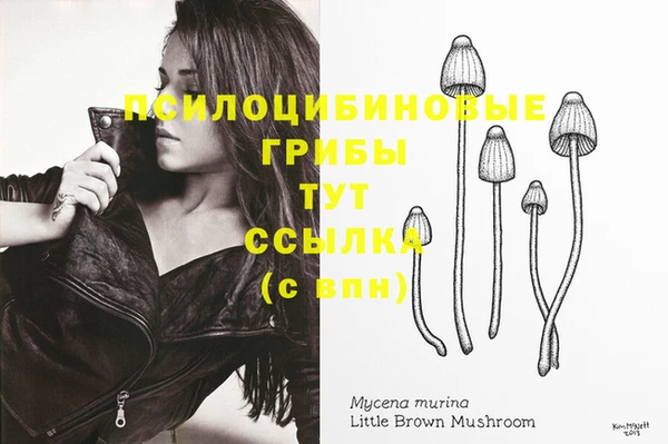 круглые Алзамай